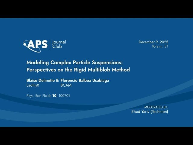 Modeling Complex Particle Suspensions - Perspectives on the Rigid Multiblob Method