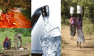 The Biology of Water and Health – Fundamentals