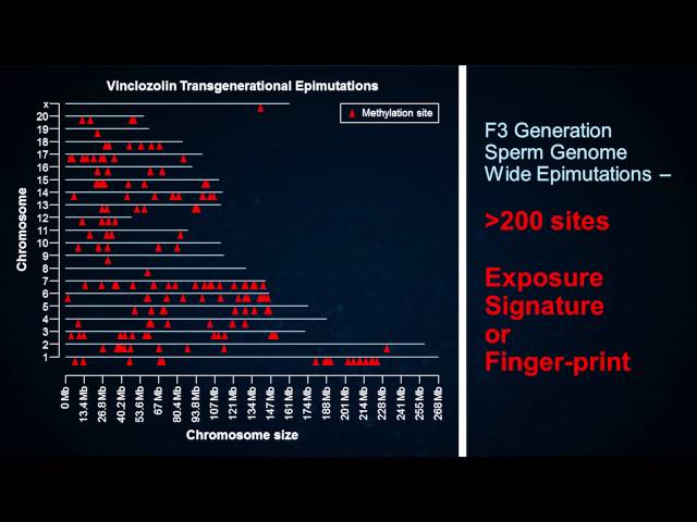 Ancestral Ghosts in Your Genome