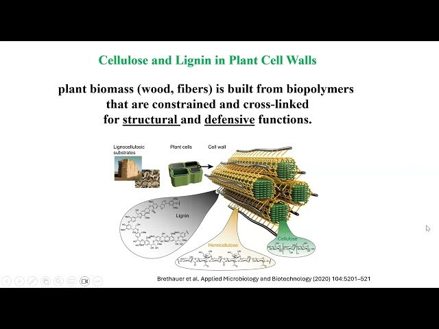 Modeling Polymers Constrained by Nature
