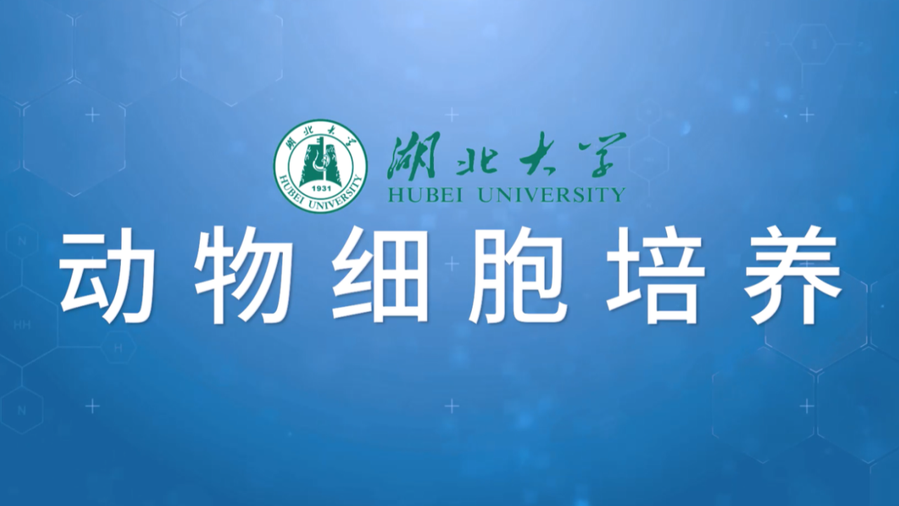 动物细胞培养