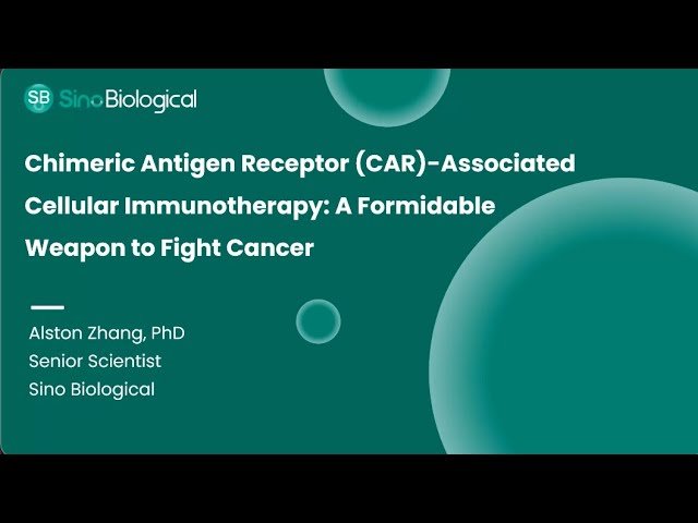 Chimeric Antigen Receptor (CAR)-Associated Cellular Immunotherapy - A Formidable Weapon Against Cancer