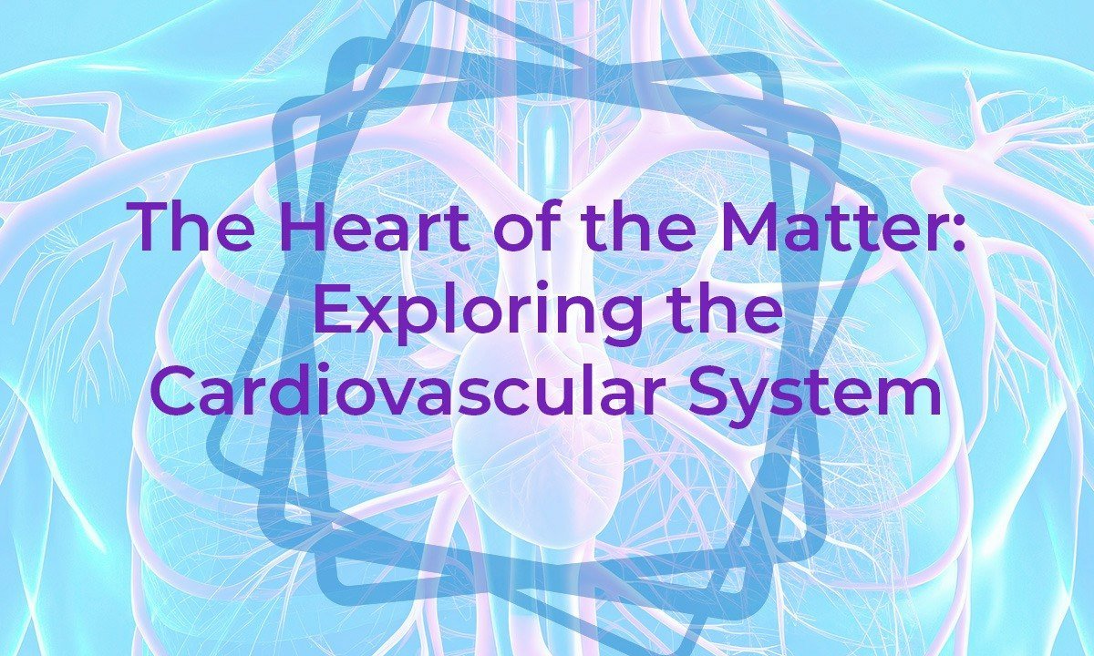 The Heart of the Matter: Exploring the Cardiovascular System
