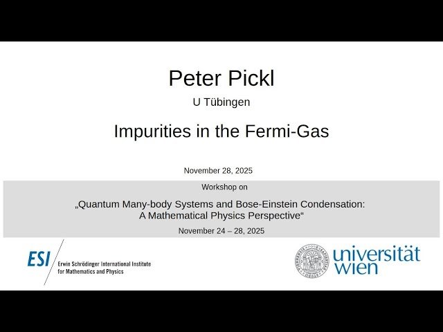 Impurities in the Fermi Gas