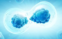 Regeneration Biology