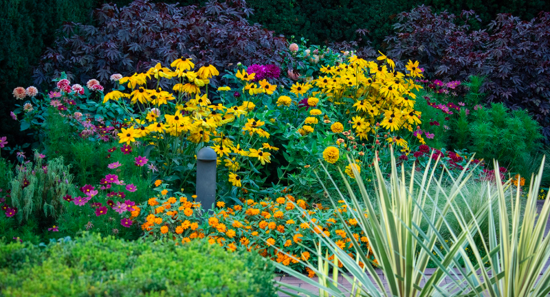 Gardens of the Pros (Live Online)