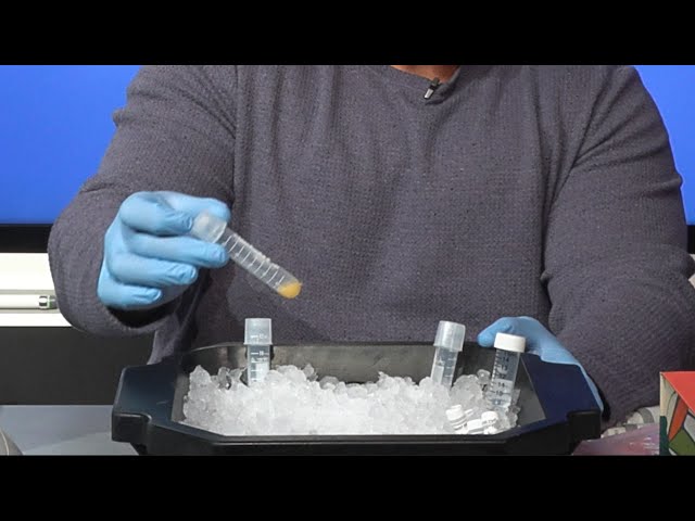 Educator's Guide to Nanopore - Microbial Isolates: DNA Isolation I (Lysis and Precipitation)