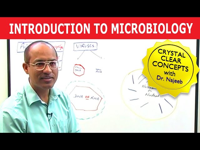 Introduction to Microbiology - Virology, Microbes, Bacteria, and Bacteriology