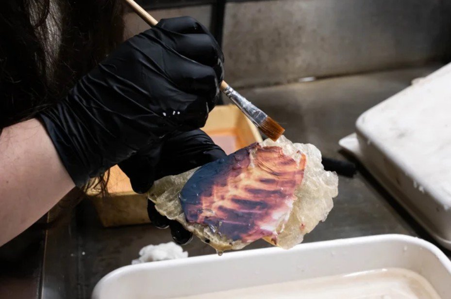 Instant Film Emulsion Lifts & Creative Manipulation (Live Online)