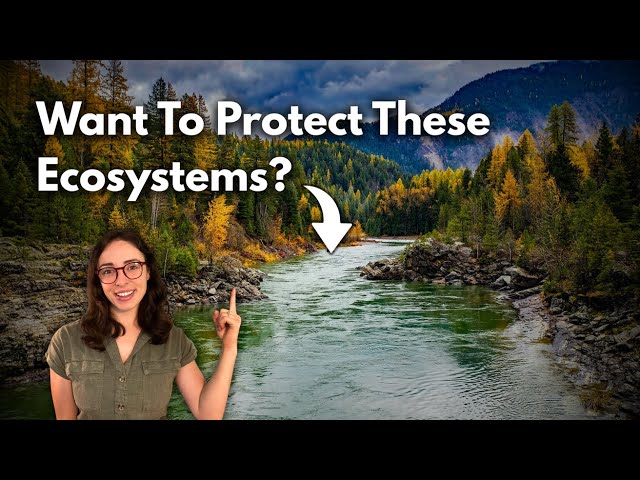 Environmental Consulting Career Guide with Krystal Chin