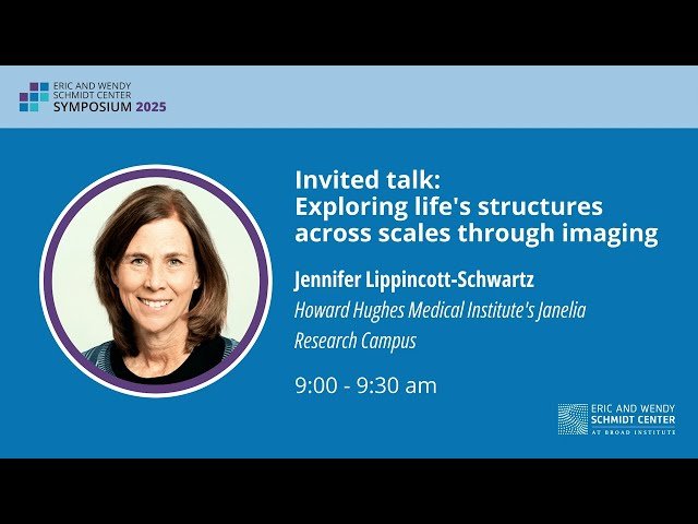 Exploring Life's Structures Across Scales Through Imaging