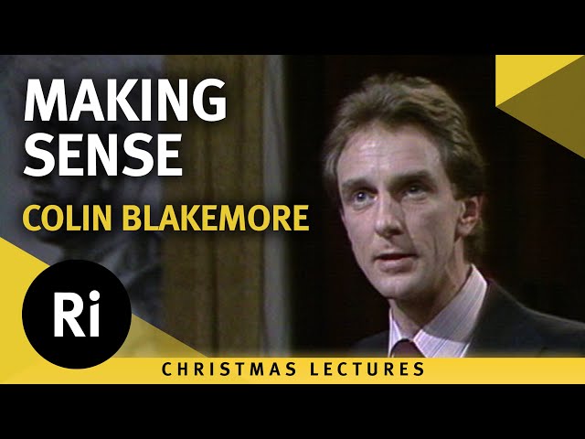 Making Sense - How the Brain Works and Physical Processes - Lecture 1