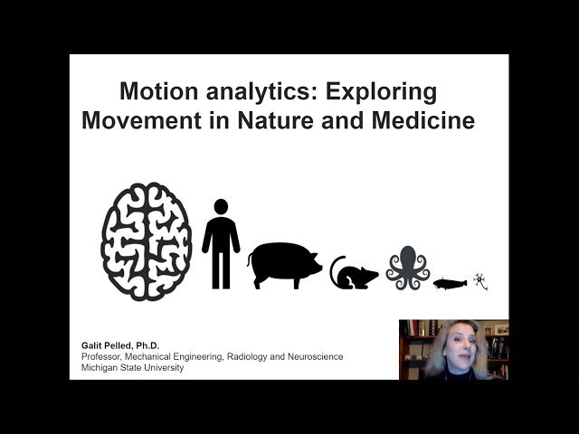 Motion Analytics - Exploring Movement in Nature and Medicine