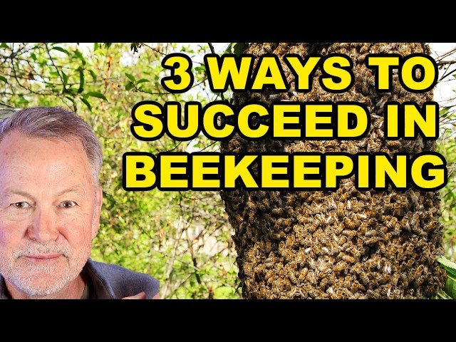 Beekeeping - Master Three Techniques For Better Results