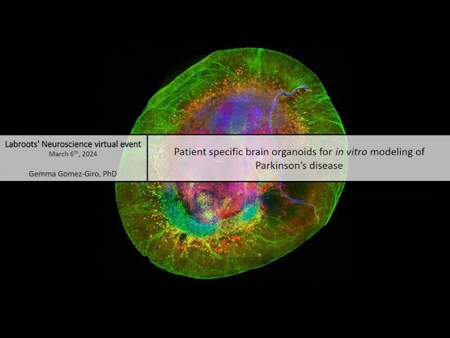 Patient Specific Brain Organoids for In Vitro Modeling of Parkinson's Disease