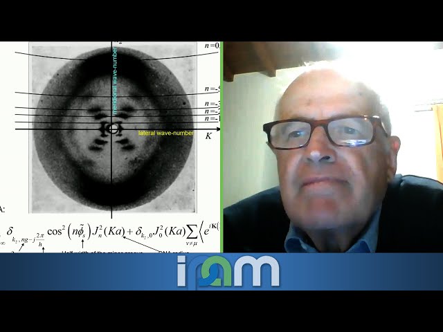 When Polyelectrolytes Think - From Electrochemistry to Molecular Genetics