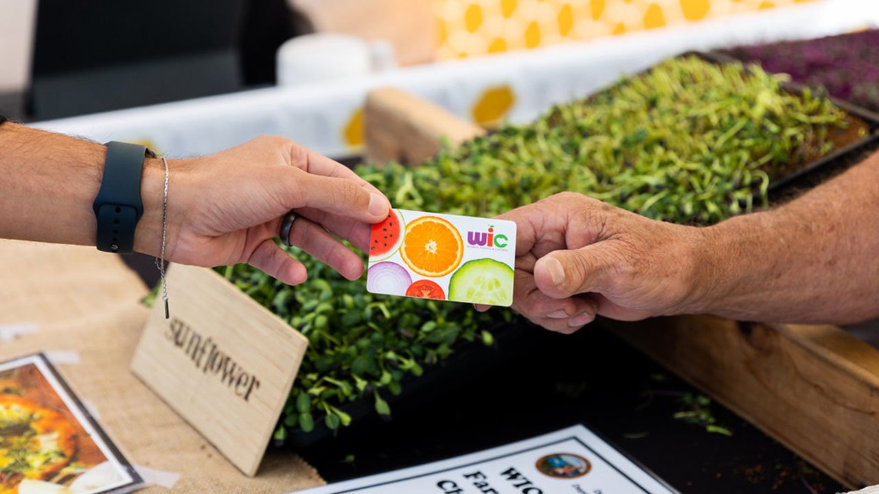 Public Finance and Public Policy