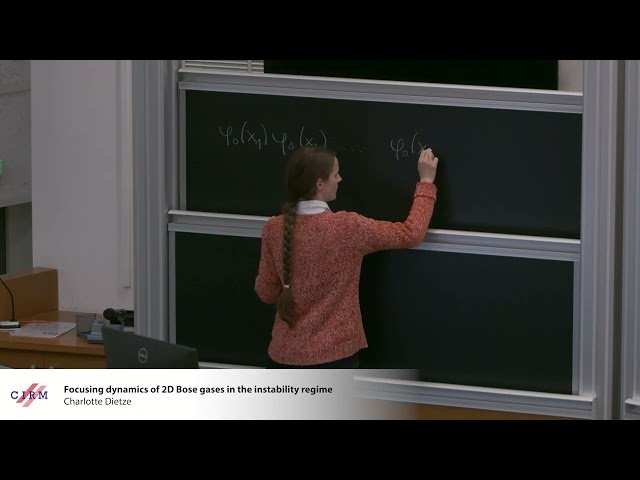 Focusing Dynamics of 2D Bose Gases in the Instability Regime