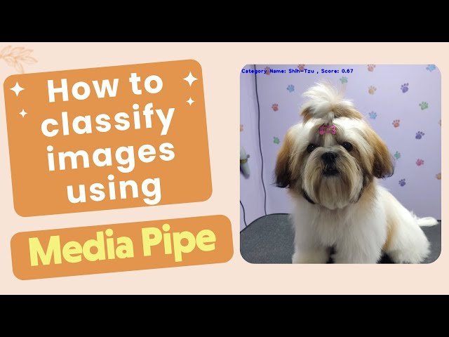 How to Build Image Classifier with MediaPipe