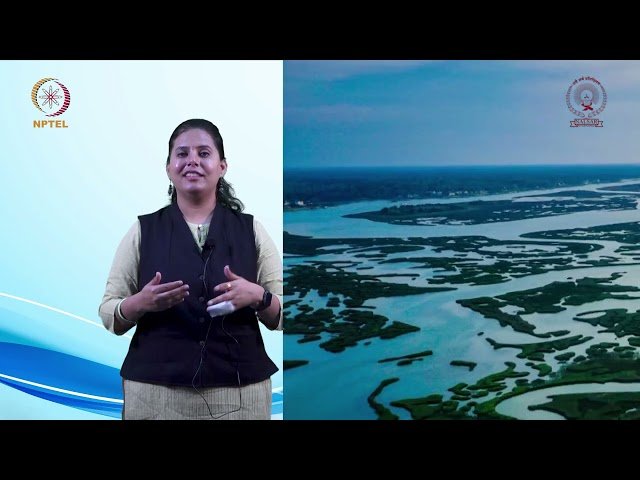 Applicable Law in Environmental Issues - Applicability of International Environmental Agreements in ISDS - Segment 3