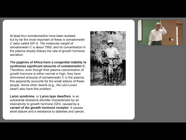 Pituitary Gland and Growth Hormone Secretion - Part 2