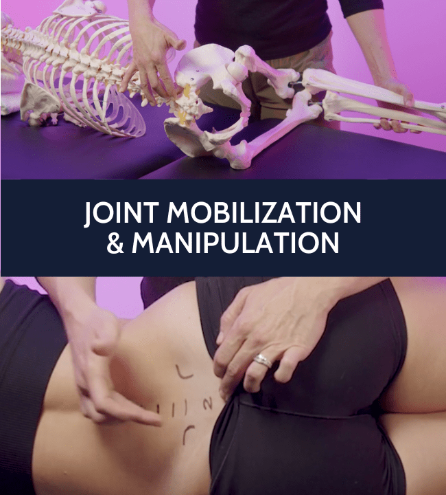 Joint by Joint Mobilization