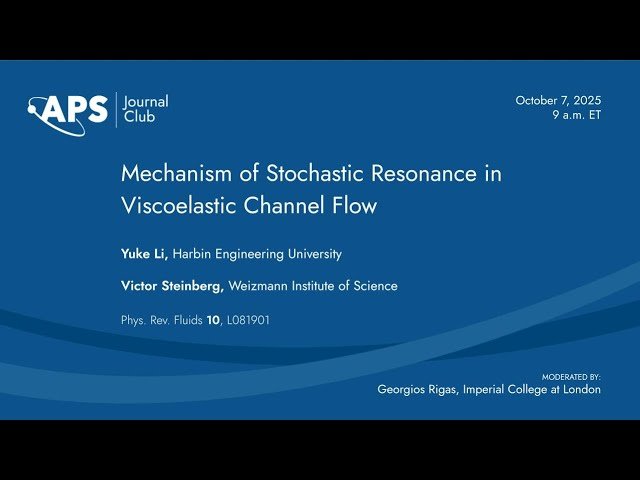 Mechanism of Stochastic Resonance in Viscoelastic Channel Flow