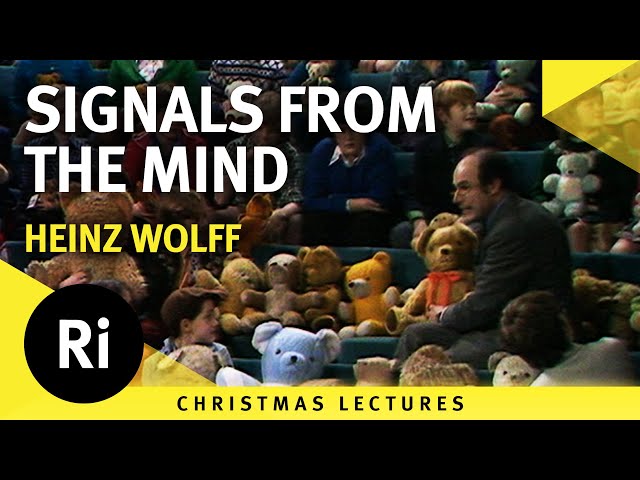 Signals from the Mind - Lecture 6