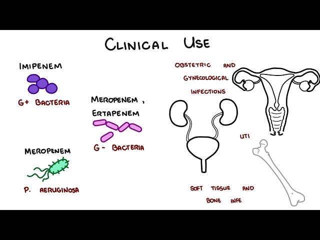 Carbapenem Antibiotics - Meropenem, Imipenem, Ertapenem