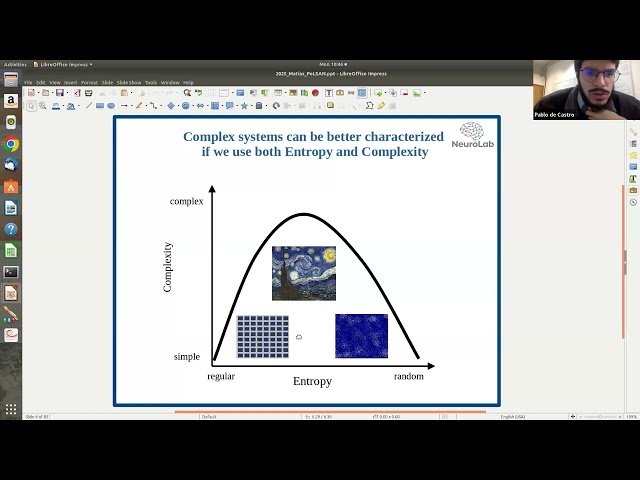 Brain Dynamics - Data Analysis and Numerical Simulation of Neuronal Circuits