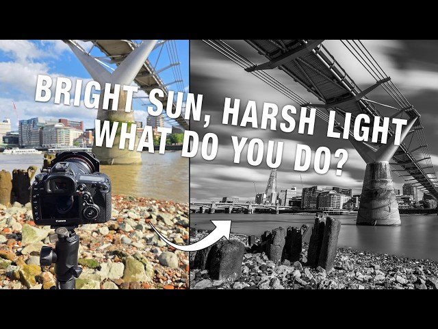 Bright Sun, Harsh Light - Photography Techniques for Challenging Lighting