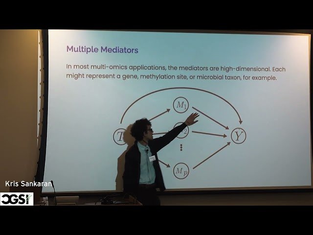 Modular Software for Mediation Analysis of Microbiome Data