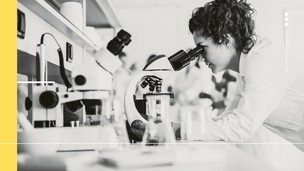 Faculty Development Program in Research and Innovation