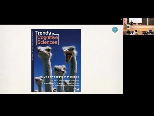 The Geometry of Decision Making