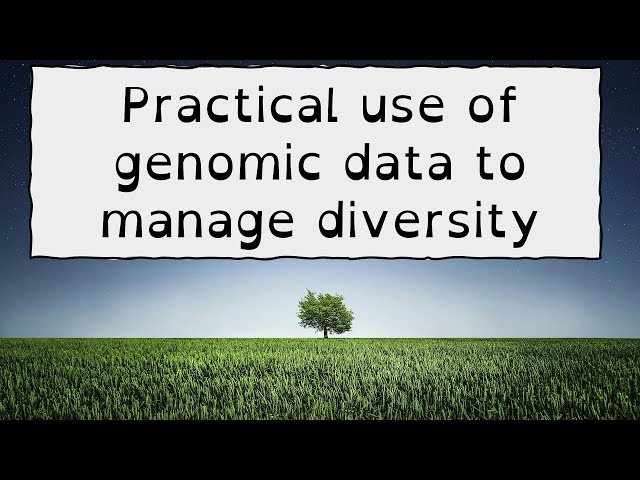 Practical Use of Genomic Data in Breed Management and Conservation