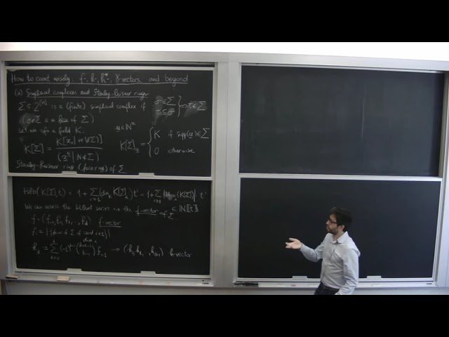 How to Count Wisely: f-vectors, h-vectors, h*-vectors, gamma-vectors and Beyond