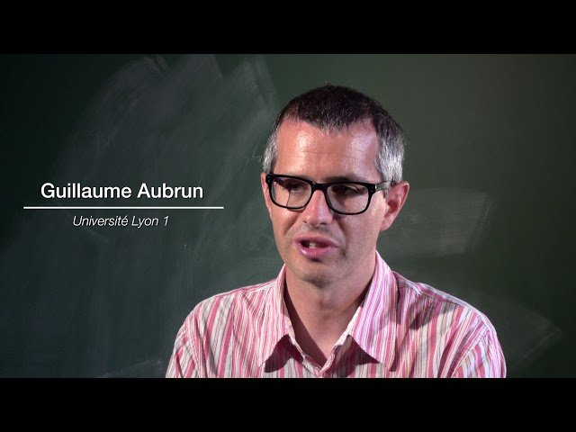 Analysis in Quantum Information Theory - T3 2017