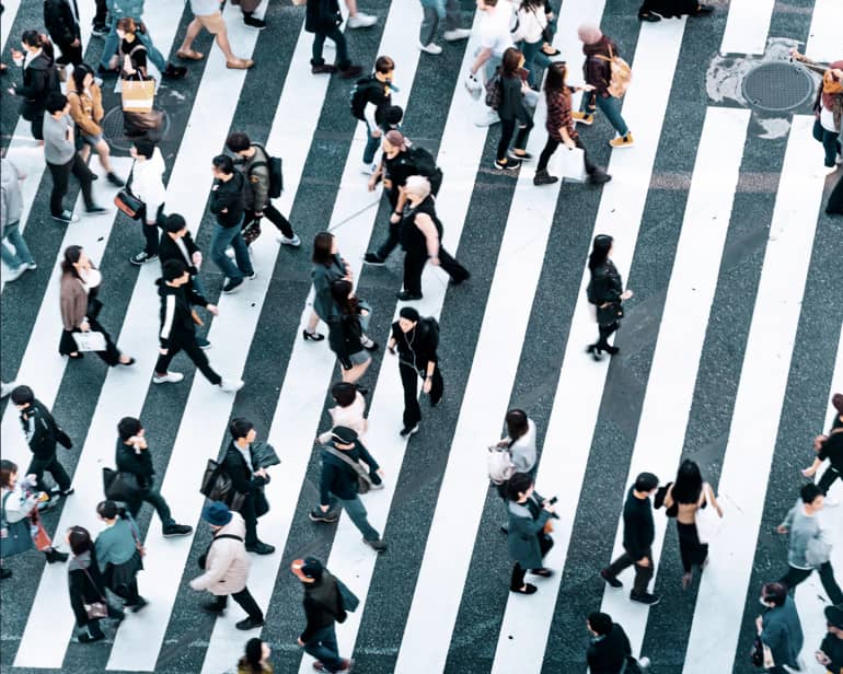 Economic and Political Development in Developing Countries