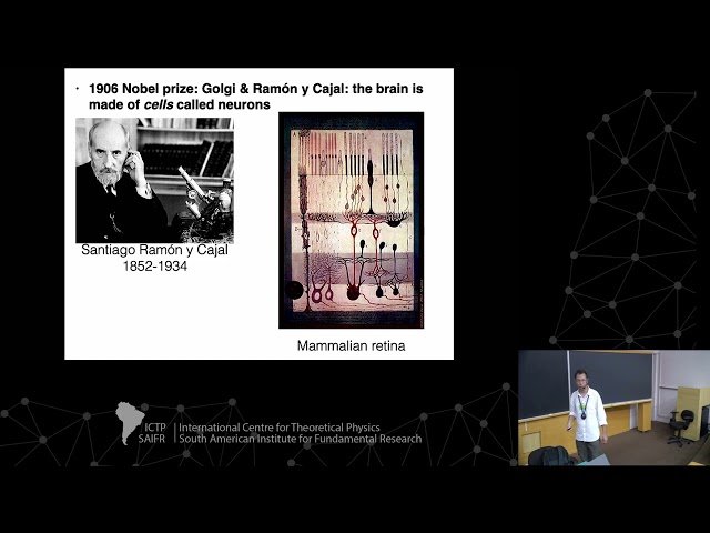 Brain Criticality - Class 1