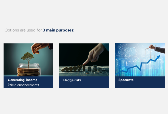 Options Strategies for Wealth Advisors