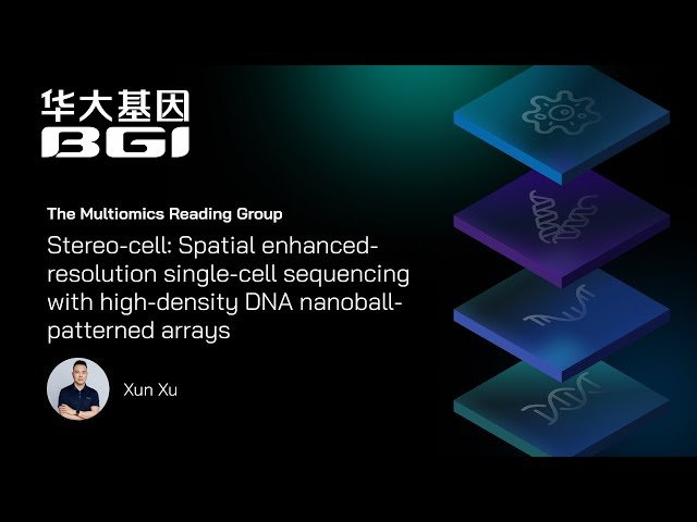 Stereo-cell - Spatial Enhanced-Resolution Single-Cell Sequencing with High-Density DNA Nanoball-Patterned Arrays