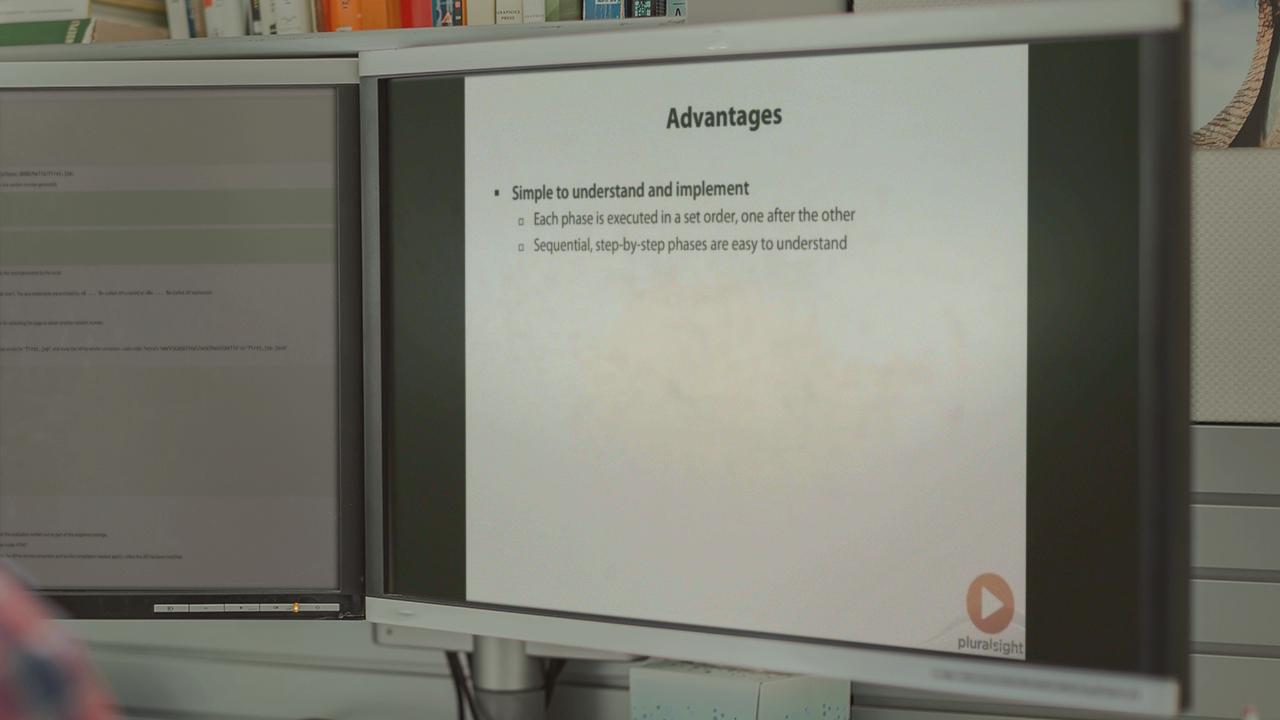 Software Process Management