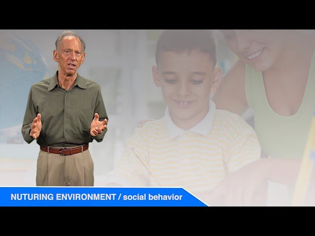 What If Parents Disagree? Creating a Nurturing Family Environment - 18