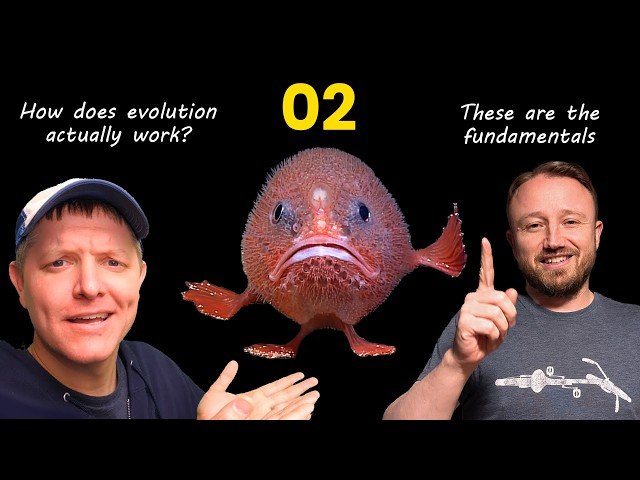 Flagella Evolution - Competence Without Comprehension