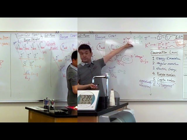 The Standard Model - Lecture 30