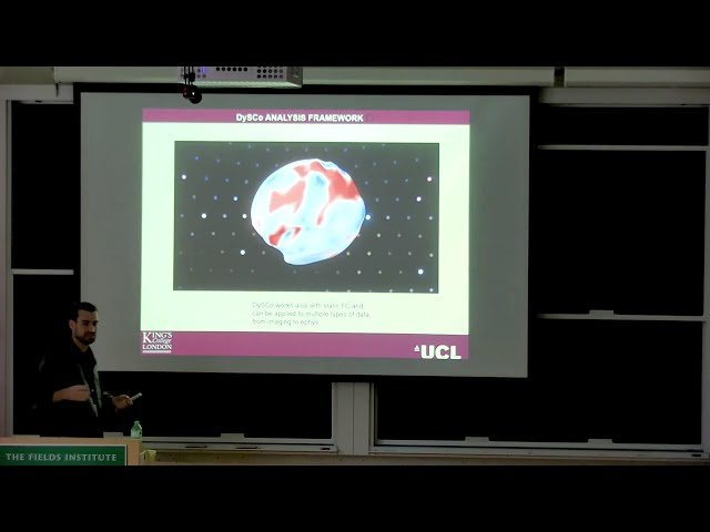 Exploring Brain Dynamics with DySCo