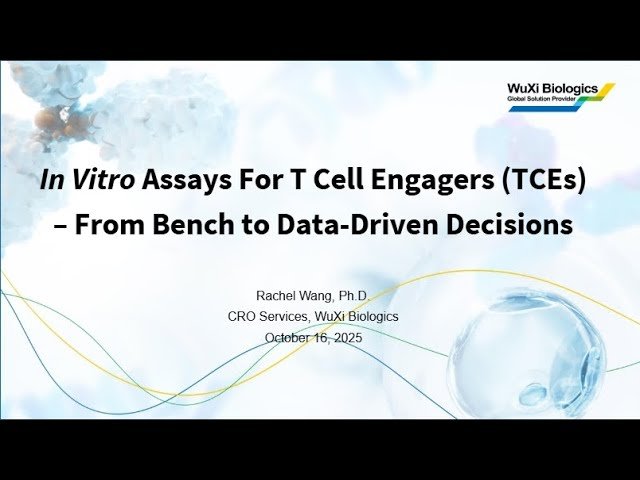 In Vitro Assays for T Cell Engagers - From Bench to Data Driven Decisions