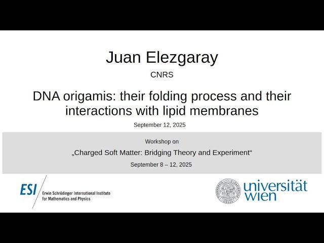 DNA Origamis - Their Folding Process and Their Interactions with Lipid Membranes