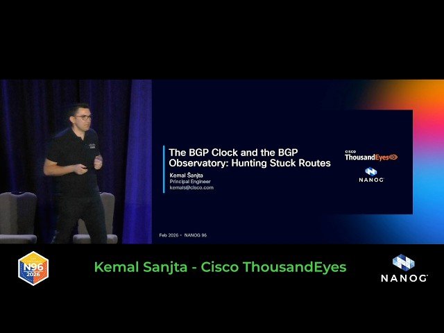 The BGP Clock and the BGP Observatory - Hunting Stuck Routes