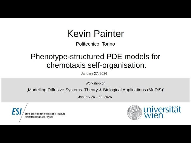Phenotype-Structured PDE Models for Chemotaxis Self-Organisation